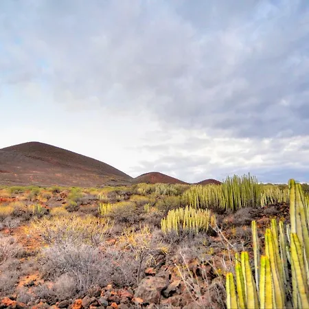 Naturaleza Viva Apartament El Socorro